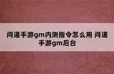 问道手游gm内测指令怎么用 问道手游gm后台